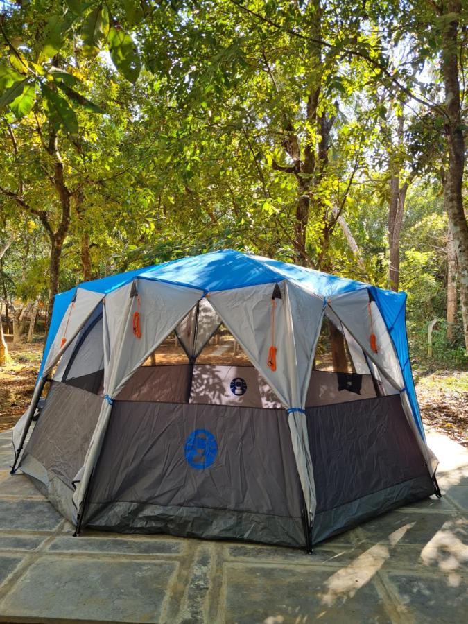 Captain'S Camp Sirsi Luaran gambar